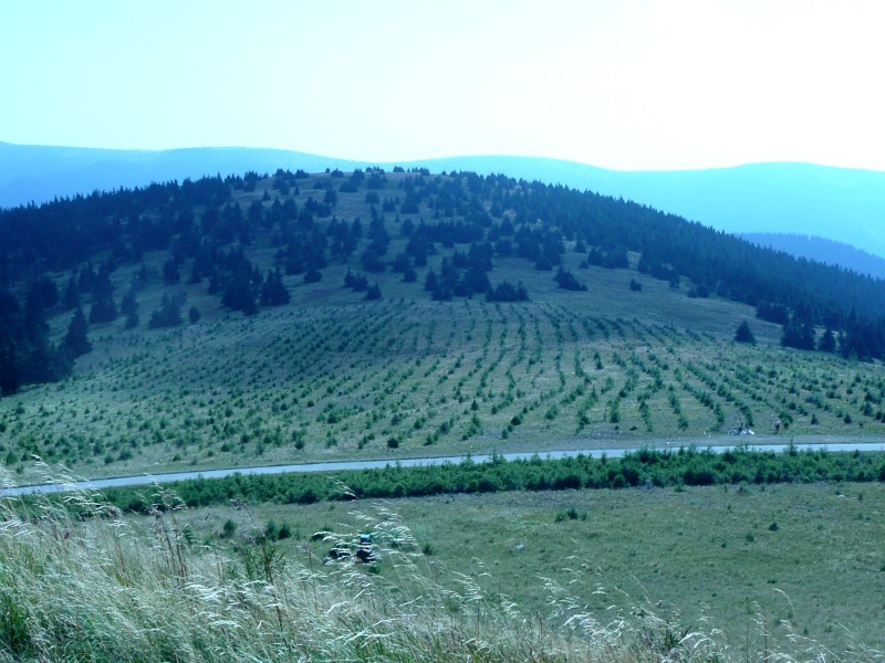 Výhled